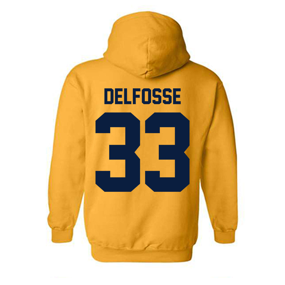 Michigan - NCAA Women's Basketball : Te'Yala Delfosse - Classic Shersey Hooded Sweatshirt-1