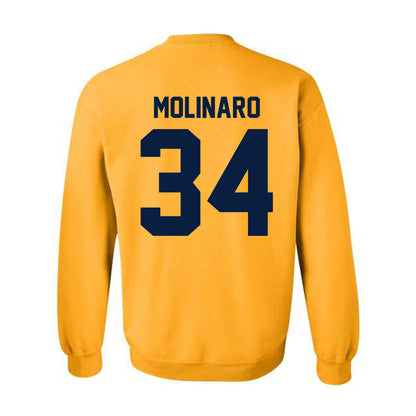 Michigan - NCAA Men's Ice Hockey : Julian Molinaro - Classic Shersey Crewneck Sweatshirt-3