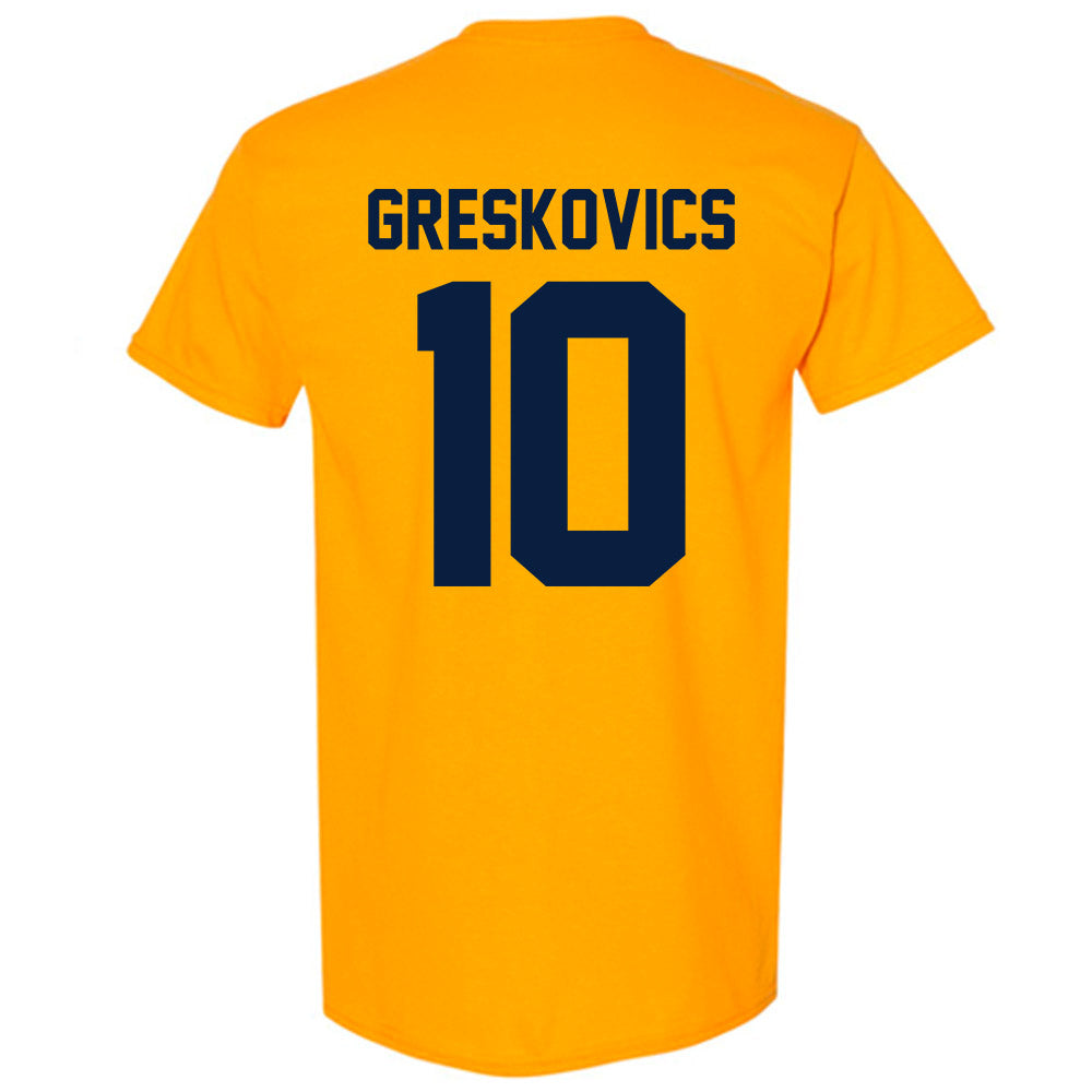 Michigan - NCAA Women's Volleyball : Carly Greskovics - Classic Shersey T-Shirt-1