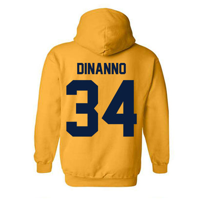 Michigan - NCAA Women's Lacrosse : Isabel DiNanno - Classic Shersey Hooded Sweatshirt-1
