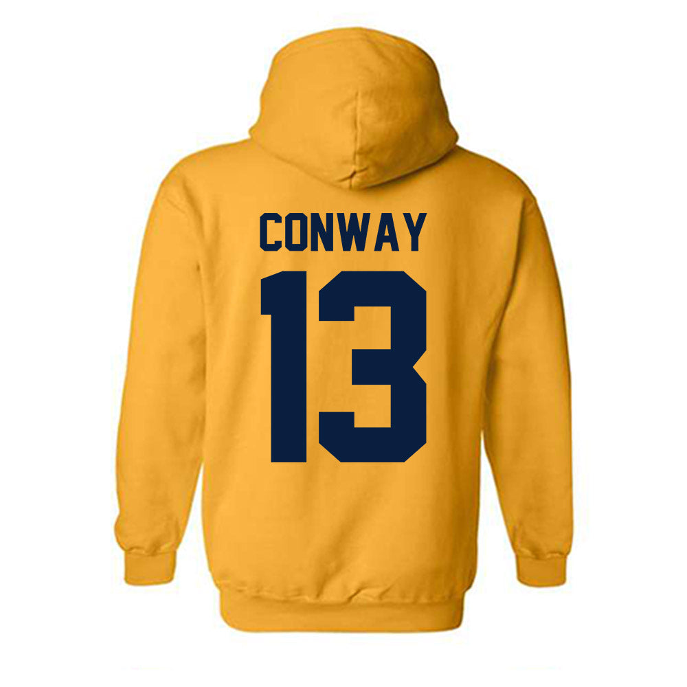 Michigan - NCAA Softball : Jenissa Conway - Classic Shersey Hooded Sweatshirt-3
