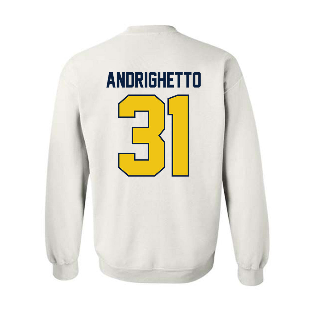Michigan - NCAA Football : Nico Andrighetto - Classic Shersey Crewneck Sweatshirt-1