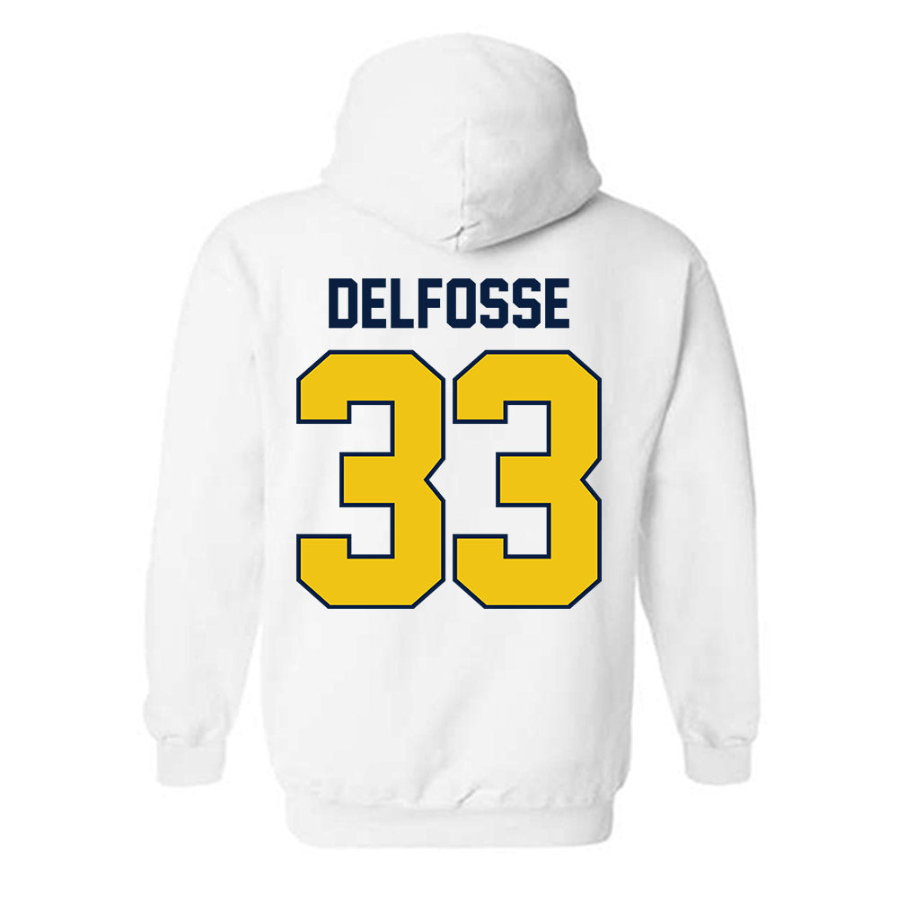 Michigan - NCAA Women's Basketball : Te'Yala Delfosse - Classic Shersey Hooded Sweatshirt-1