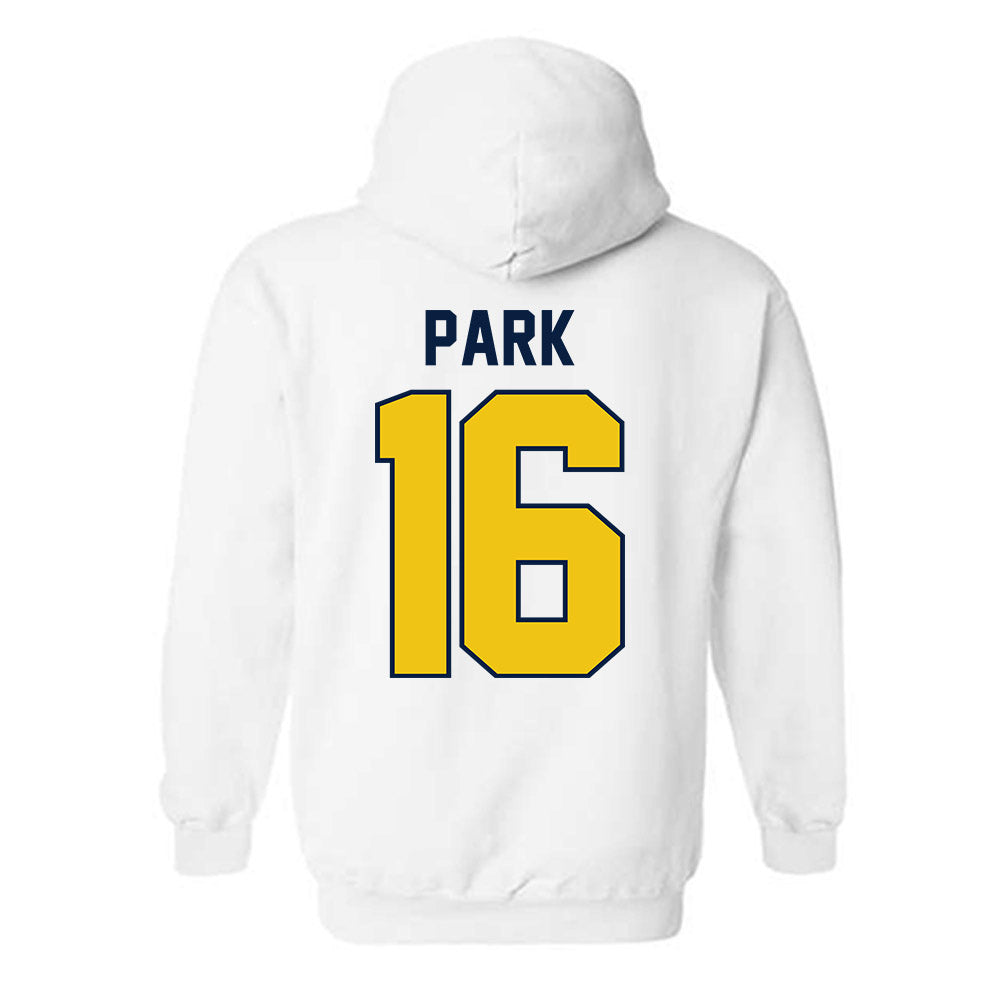 Michigan - NCAA Men's Ice Hockey : Aidan Park - Classic Shersey Hooded Sweatshirt-1