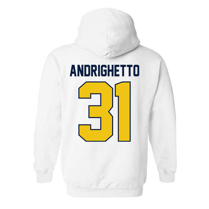 Michigan - NCAA Football : Nico Andrighetto - Classic Shersey Hooded Sweatshirt-1