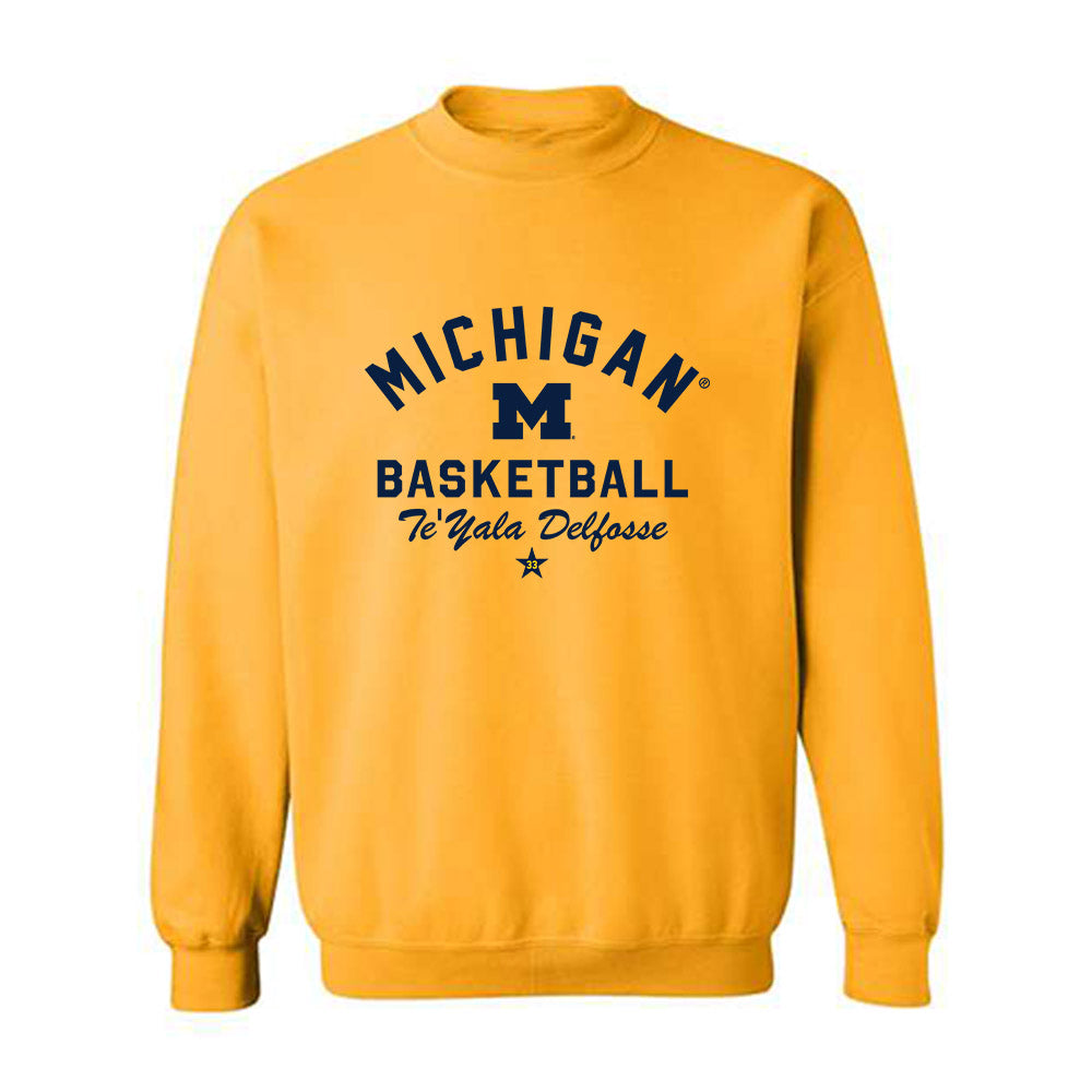 Michigan - NCAA Women's Basketball : Te'Yala Delfosse - Classic Shersey Crewneck Sweatshirt-0
