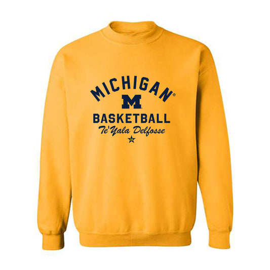 Michigan - NCAA Women's Basketball : Te'Yala Delfosse - Classic Shersey Crewneck Sweatshirt-0