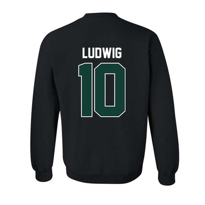 Michigan State - NCAA Men's Soccer : Richie Ludwig - Classic Shersey Crewneck Sweatshirt-7