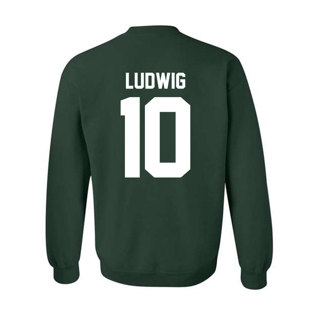 Michigan State - NCAA Men's Soccer : Richie Ludwig - Classic Shersey Crewneck Sweatshirt-5