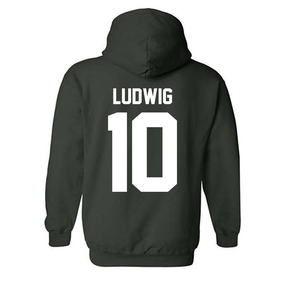 Michigan State - NCAA Men's Soccer : Richie Ludwig - Classic Shersey Hooded Sweatshirt-5
