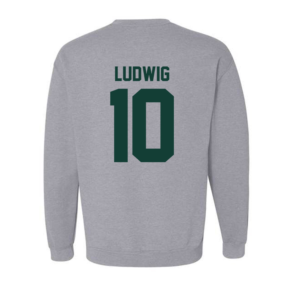 Michigan State - NCAA Men's Soccer : Richie Ludwig - Classic Shersey Crewneck Sweatshirt-6
