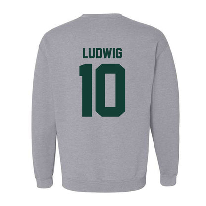 Michigan State - NCAA Men's Soccer : Richie Ludwig - Classic Shersey Crewneck Sweatshirt-6
