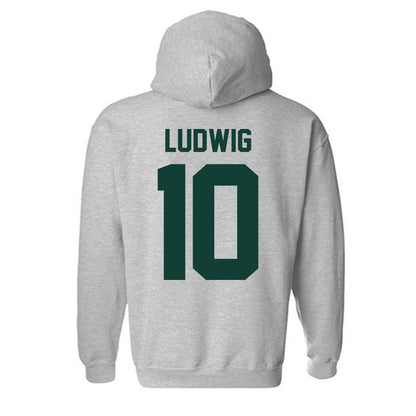 Michigan State - NCAA Men's Soccer : Richie Ludwig - Classic Shersey Hooded Sweatshirt-6