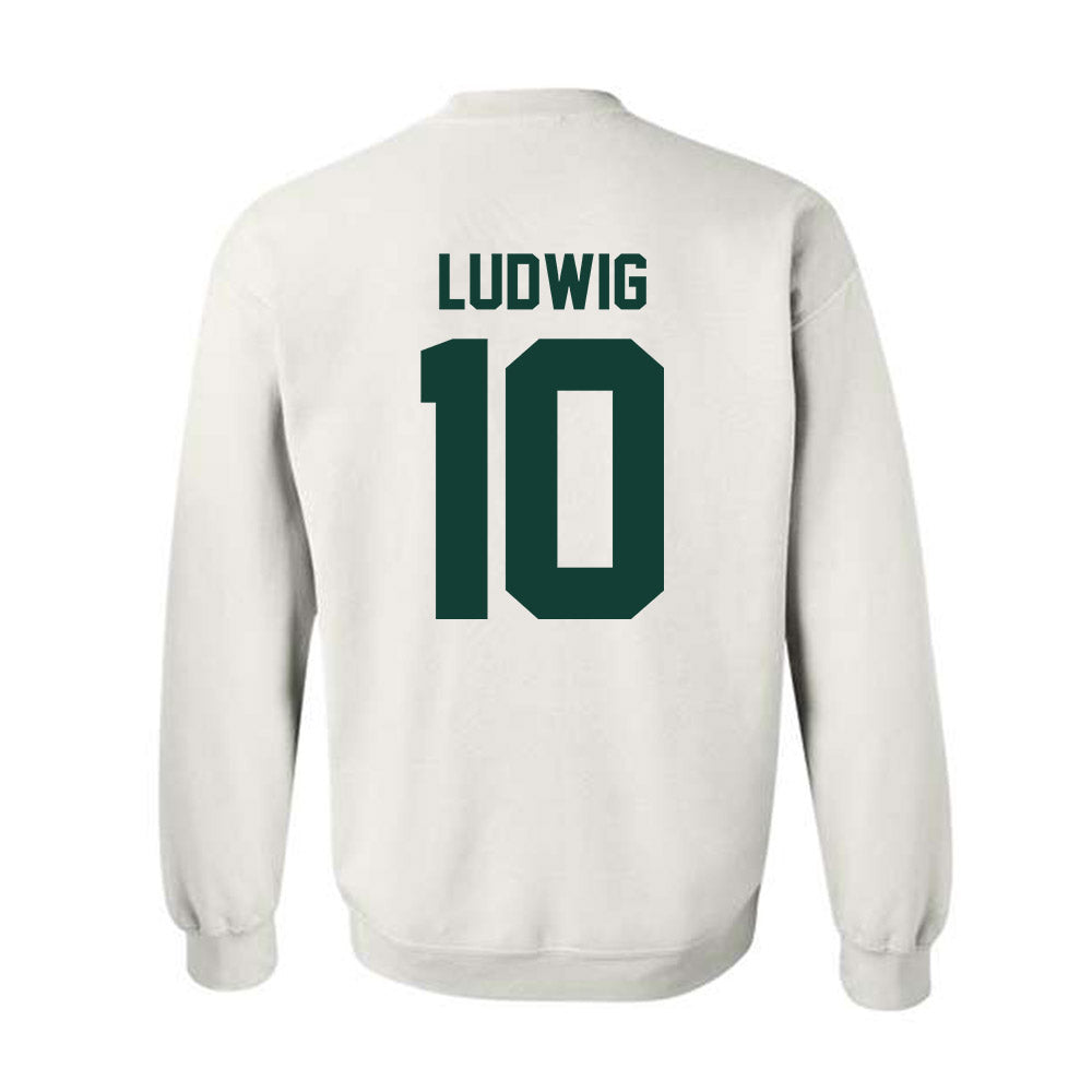 Michigan State - NCAA Men's Soccer : Richie Ludwig - Classic Shersey Crewneck Sweatshirt-4