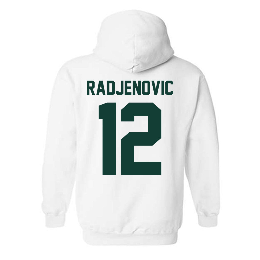 Michigan State - NCAA Men's Tennis : Vuk Radjenovic - Classic Shersey Hooded Sweatshirt-1