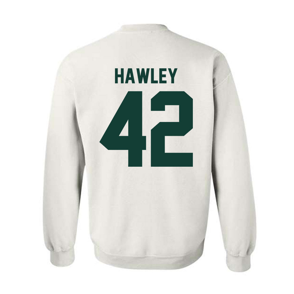 Michigan State - NCAA Softball : Hannah Hawley - Classic Shersey Crewneck Sweatshirt-1