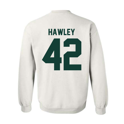Michigan State - NCAA Softball : Hannah Hawley - Classic Shersey Crewneck Sweatshirt-1