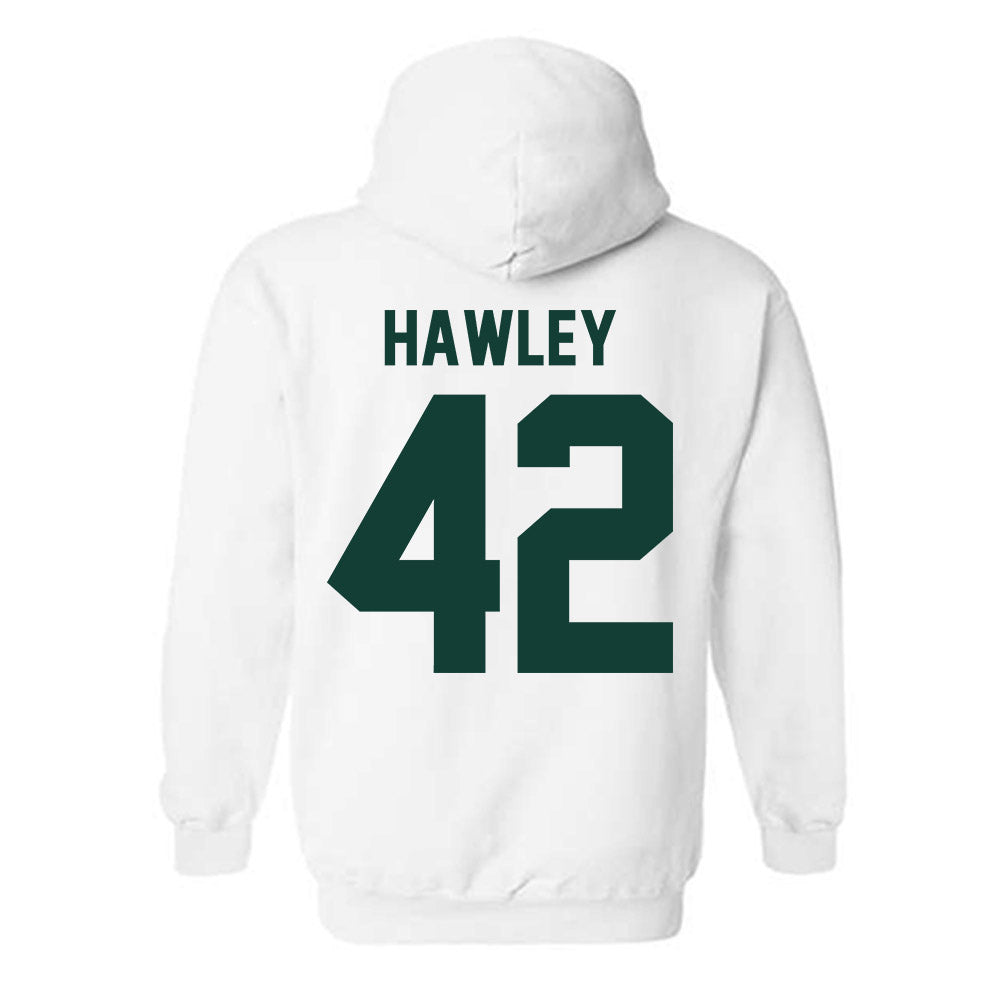 Michigan State - NCAA Softball : Hannah Hawley - Classic Shersey Hooded Sweatshirt-1