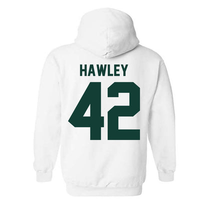 Michigan State - NCAA Softball : Hannah Hawley - Classic Shersey Hooded Sweatshirt-1