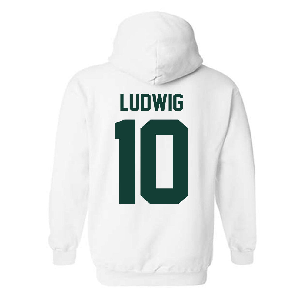 Michigan State - NCAA Men's Soccer : Richie Ludwig - Classic Shersey Hooded Sweatshirt-4