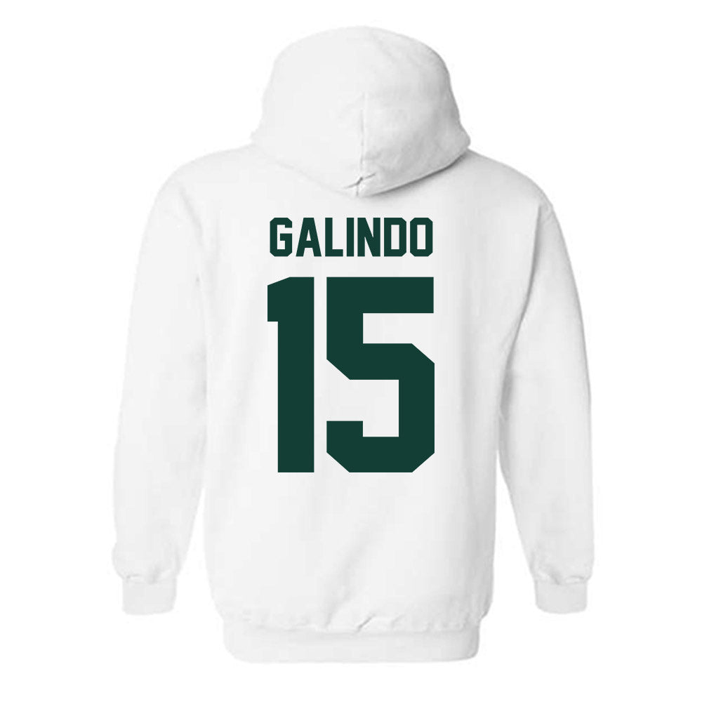 Michigan State - NCAA Softball : Alyssa Galindo - Classic Shersey Hooded Sweatshirt-1