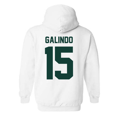 Michigan State - NCAA Softball : Alyssa Galindo - Classic Shersey Hooded Sweatshirt-1