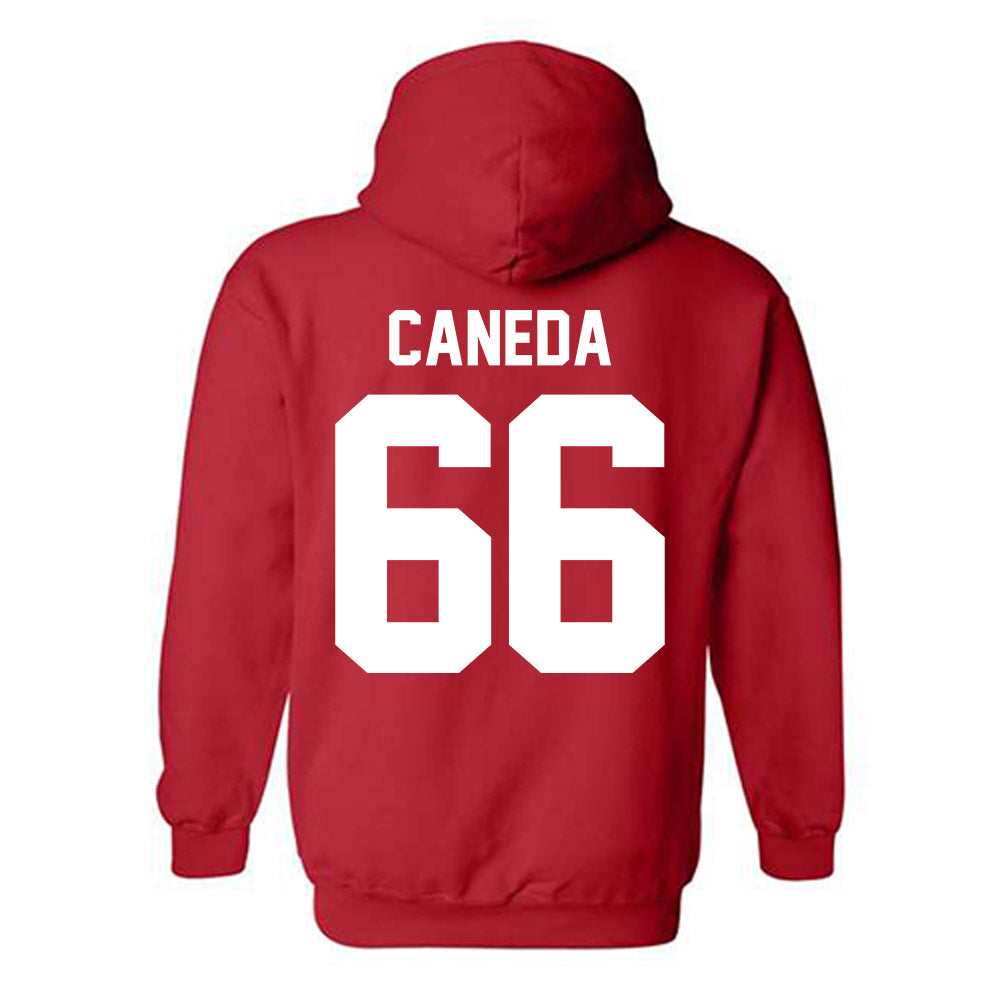 Nebraska - NCAA Softball : Katelyn Caneda - Classic Shersey Hooded Sweatshirt-1