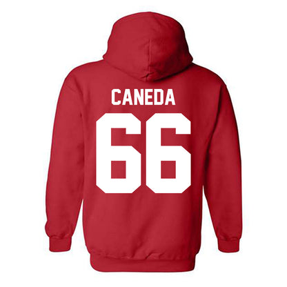 Nebraska - NCAA Softball : Katelyn Caneda - Classic Shersey Hooded Sweatshirt-1