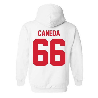 Nebraska - NCAA Softball : Katelyn Caneda - Classic Shersey Hooded Sweatshirt-1
