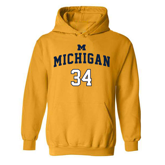 Michigan - NCAA Women's Basketball : Aaiyanna Dunbar - Classic Shersey Hooded Sweatshirt-0