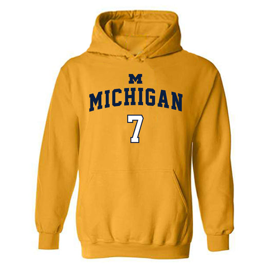 Michigan - NCAA Women's Basketball : Jessica Fields - Classic Shersey Hooded Sweatshirt-0