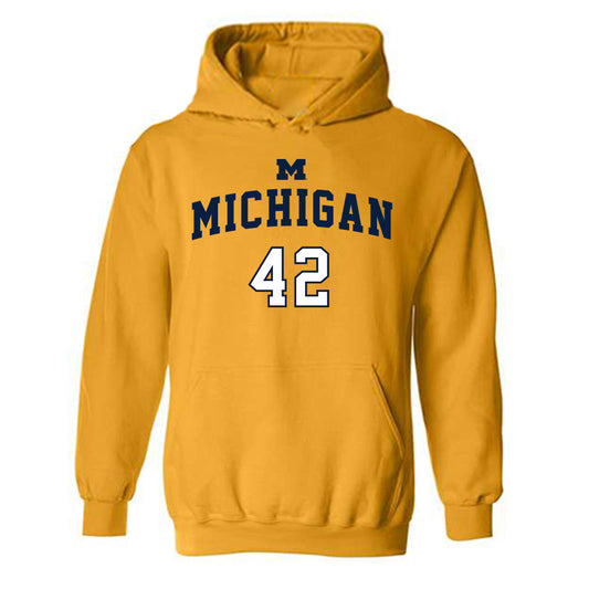 Michigan - NCAA Men's Basketball : Will Tschetter - Classic Shersey Hooded Sweatshirt-0