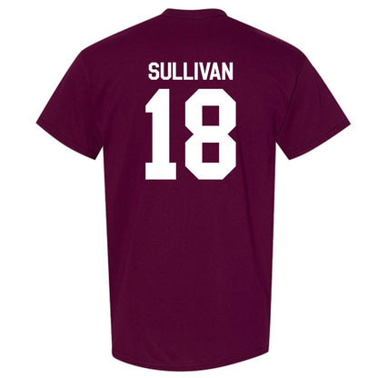 Mississippi State - NCAA Baseball : Noah Sullivan - Classic Shersey T-Shirt-1