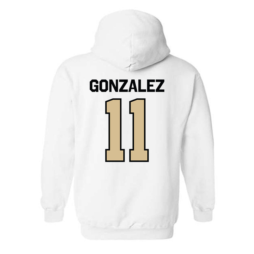 PFW - NCAA Men's Volleyball : Jean Paul Gonzalez - Classic Shersey Hooded Sweatshirt-1