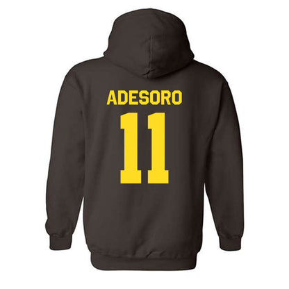 Western Michigan - NCAA Men's Tennis : Ashton Adesoro - Classic Shersey Hooded Sweatshirt-1