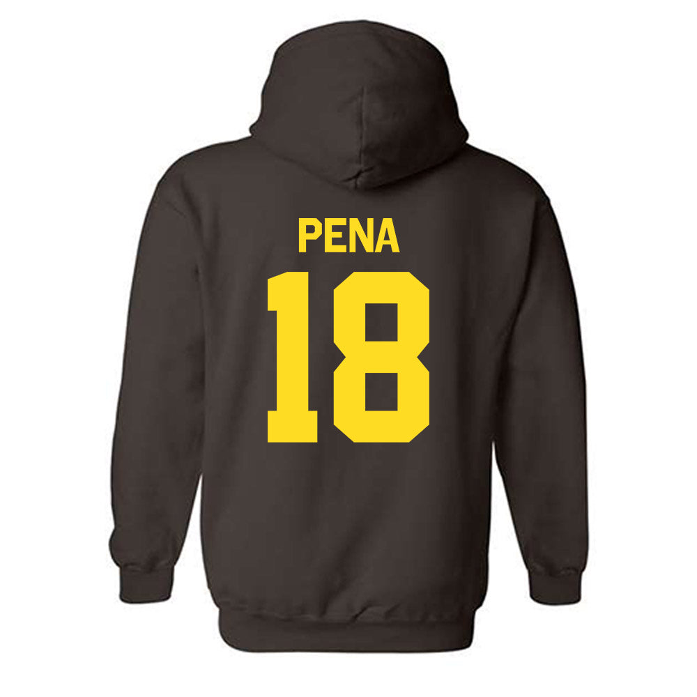 Western Michigan - NCAA Baseball : Diego Pena - Classic Shersey Hooded Sweatshirt-1