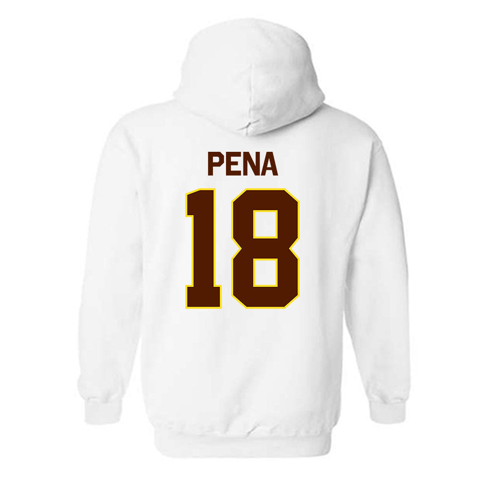 Western Michigan - NCAA Baseball : Diego Pena - Classic Shersey Hooded Sweatshirt-1