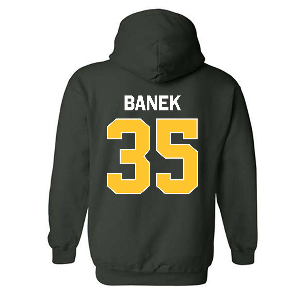 Siena - NCAA Men's Lacrosse : Logan Banek - Classic Shersey Hooded Sweatshirt-1