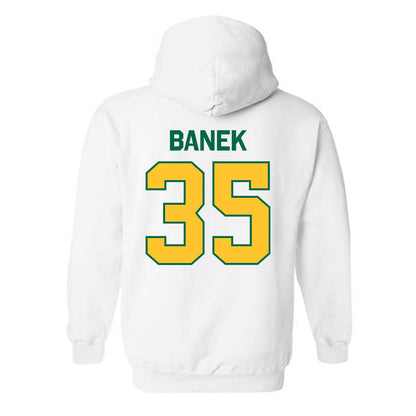 Siena - NCAA Men's Lacrosse : Logan Banek - Classic Shersey Hooded Sweatshirt-1