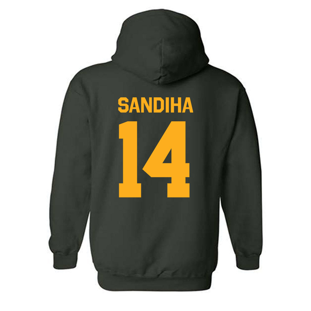 Wayne State - NCAA Baseball : Nick Sandiha - Classic Shersey Hooded Sweatshirt-1