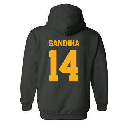 Wayne State - NCAA Baseball : Nick Sandiha - Classic Shersey Hooded Sweatshirt-1