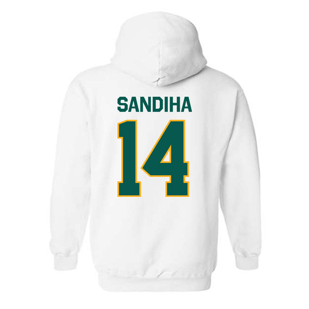 Wayne State - NCAA Baseball : Nick Sandiha - Classic Shersey Hooded Sweatshirt-1