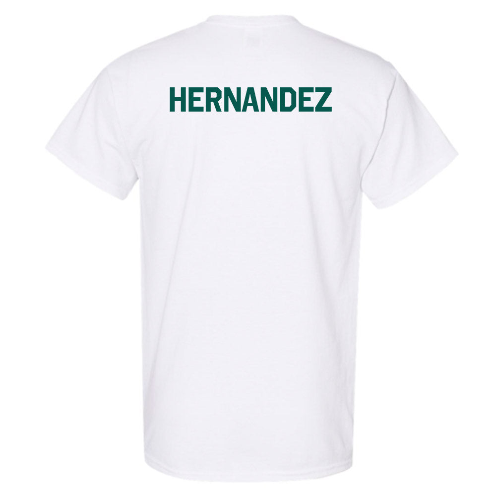 Wayne State - NCAA Men's Swimming & Diving : Matthew Hernandez - Classic Shersey T-Shirt-1