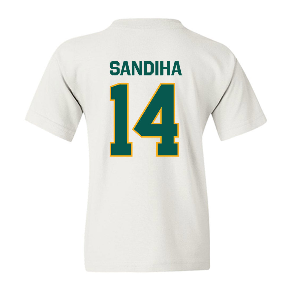 Wayne State - NCAA Baseball : Nick Sandiha - Classic Shersey Youth T-Shirt-1