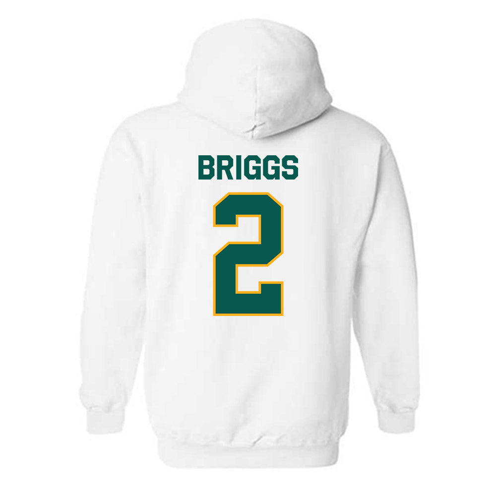 Wayne State - NCAA Men's Basketball : Jordan Briggs - Classic Shersey Hooded Sweatshirt-1