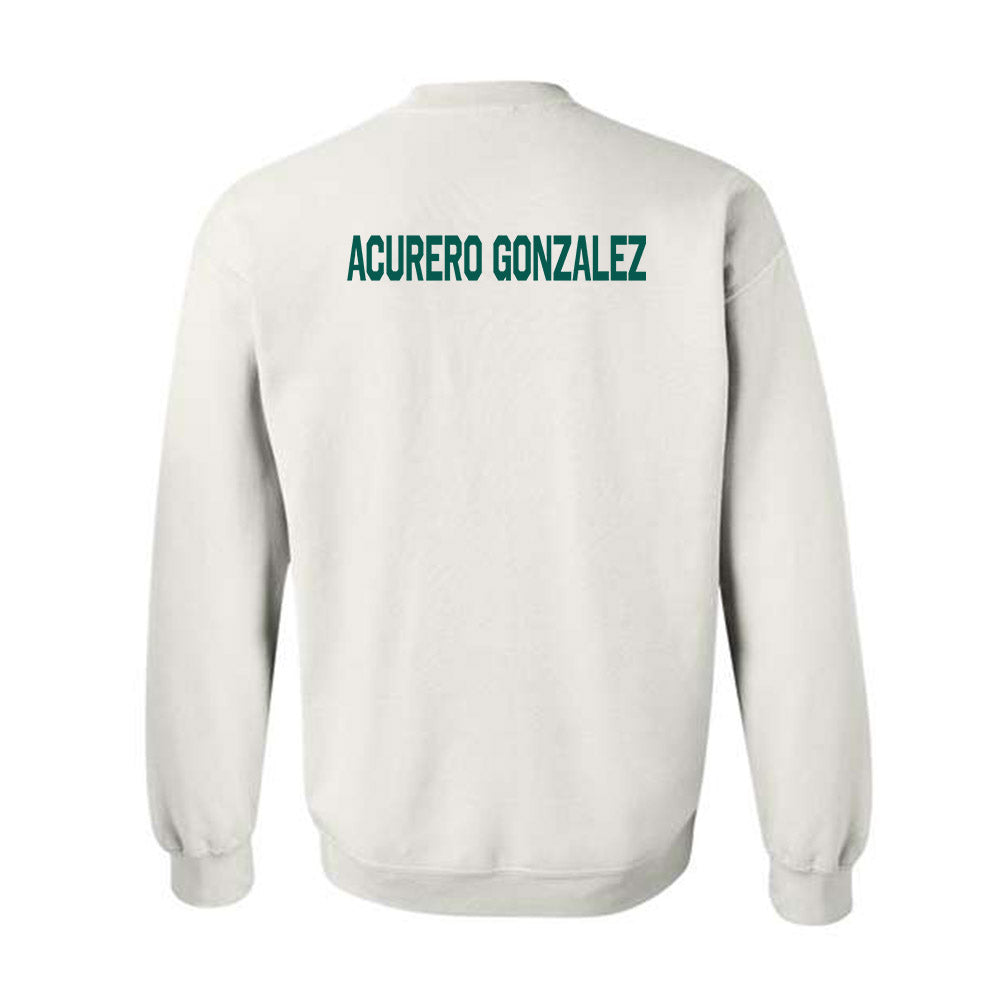 Wayne State - NCAA Women's Fencing : Anabella Acurero Gonzalez - Classic Shersey Crewneck Sweatshirt-1