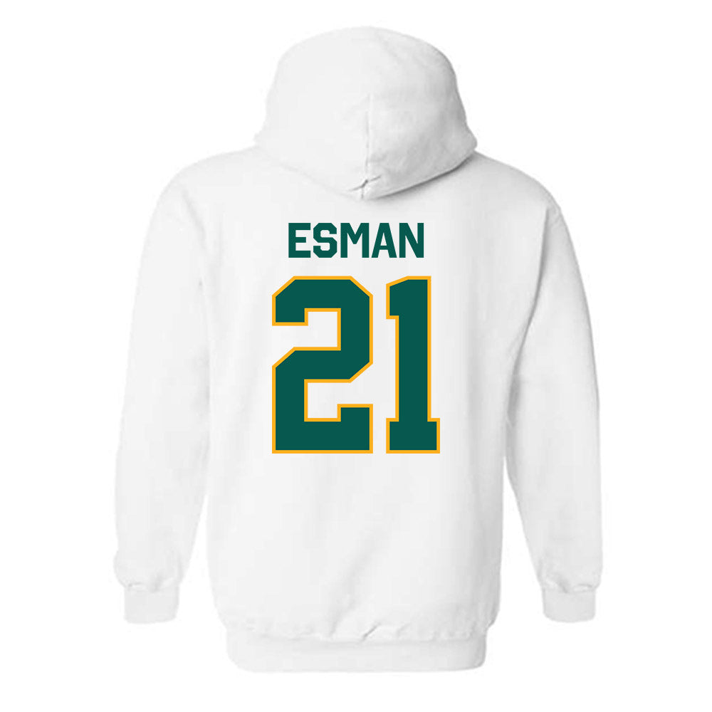 Wayne State - NCAA Men's Basketball : Bryce Esman - Classic Shersey Hooded Sweatshirt-1