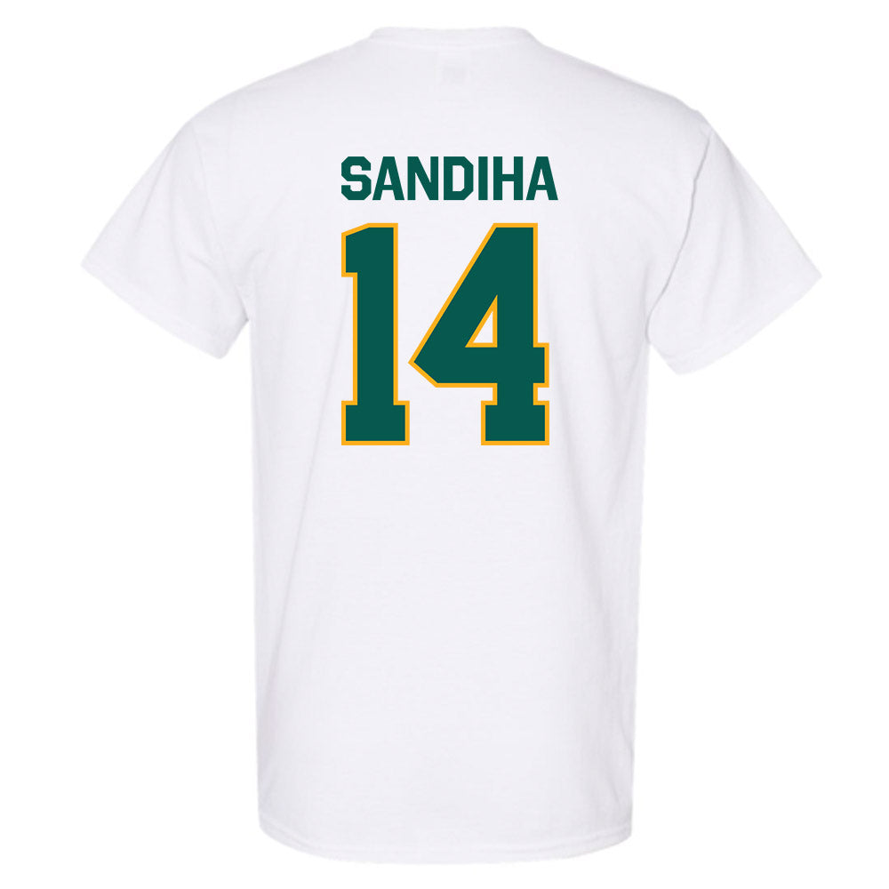 Wayne State - NCAA Baseball : Nick Sandiha - Classic Shersey T-Shirt-1
