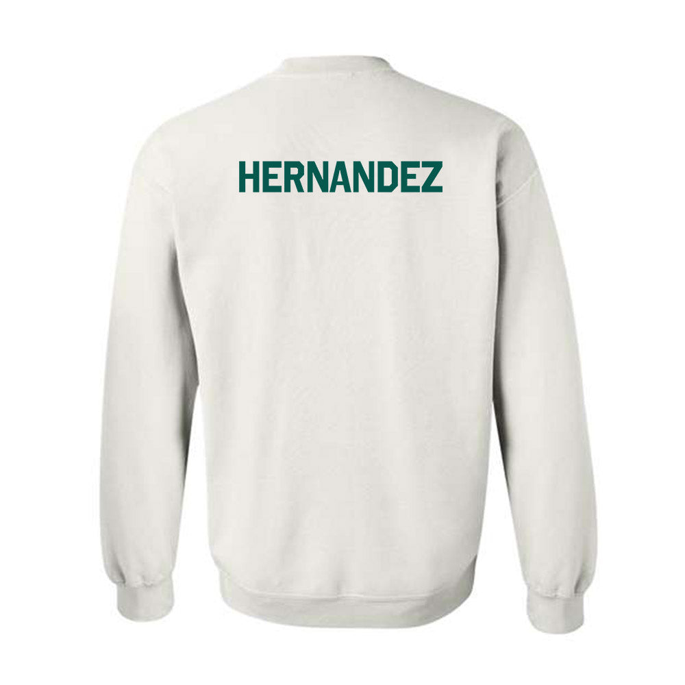 Wayne State - NCAA Men's Swimming & Diving : Matthew Hernandez - Classic Shersey Crewneck Sweatshirt-1