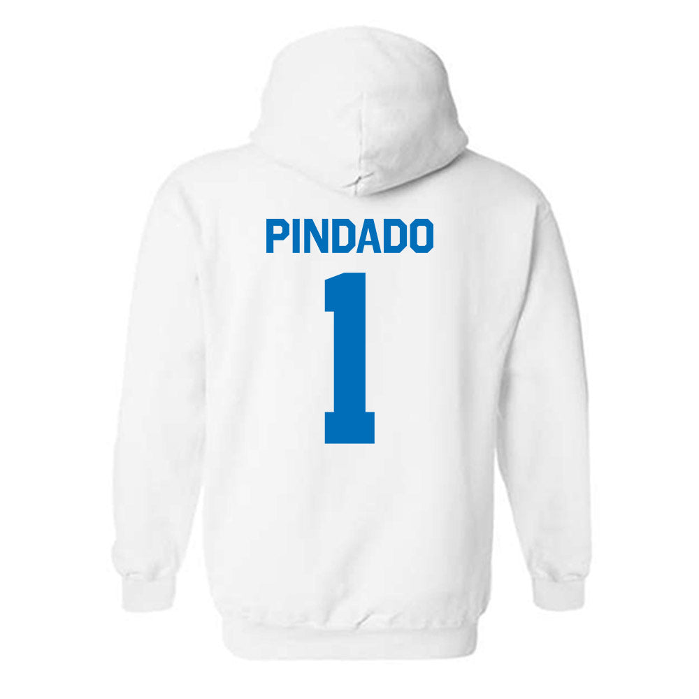 Buffalo - NCAA Women's Soccer : Daniela Pindado - Classic Shersey Hooded Sweatshirt-1